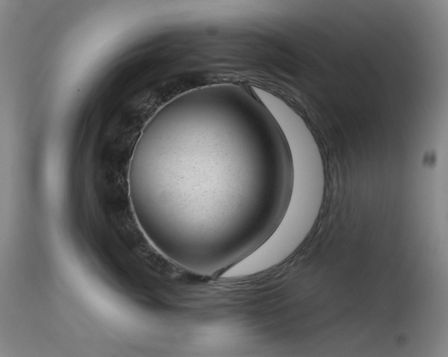 X0000112980764200909031109