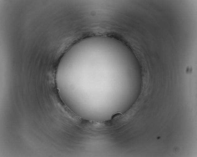 X0000112980768200909031109