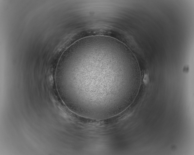 X0000112980771200909031108