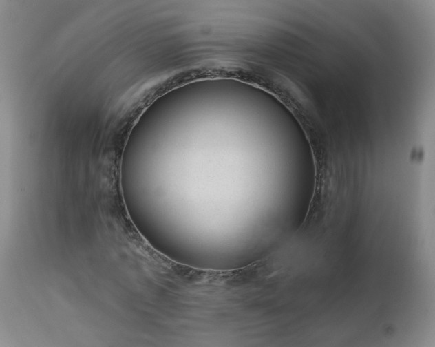 X0000112980773200909031108