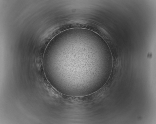 X0000112980774200909031108