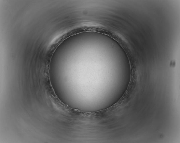 X0000112980775200909031108