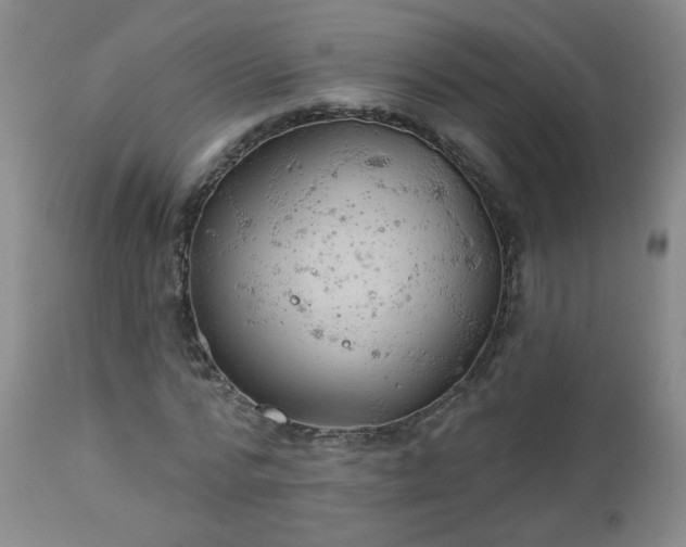 X0000112980776200909031108