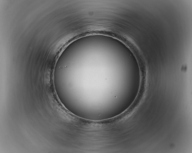 X0000112980777200909031108