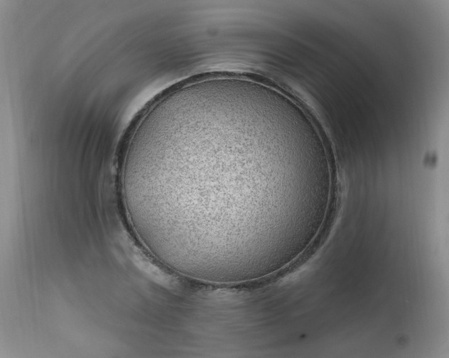 X0000112980779200909031108