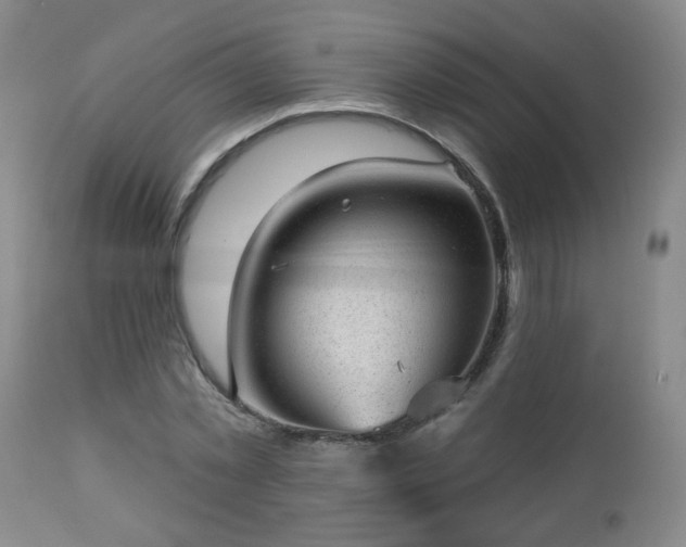 X0000112980781200909031108