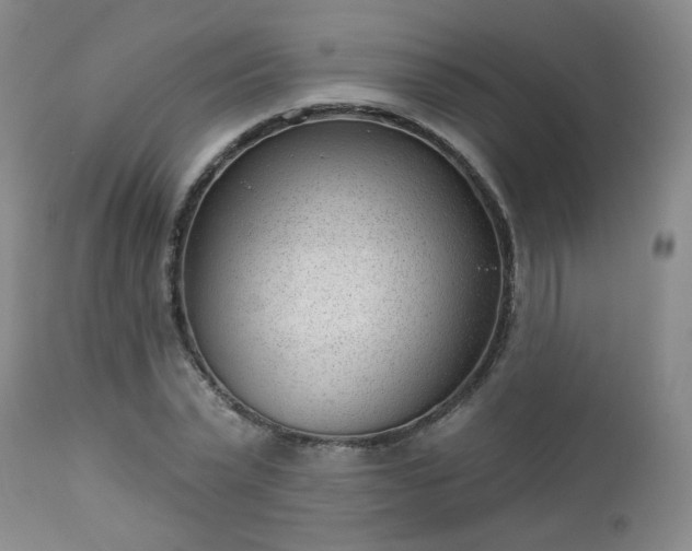 X0000112980783200909031108