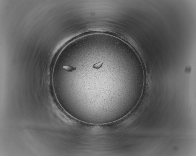 X0000112980787200909031108