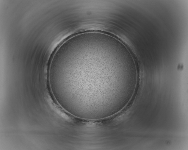 X0000112980790200909031108