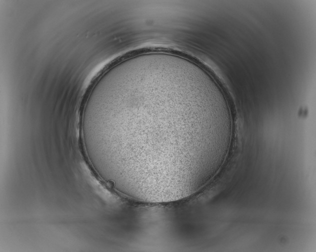 X0000112980791200909031108