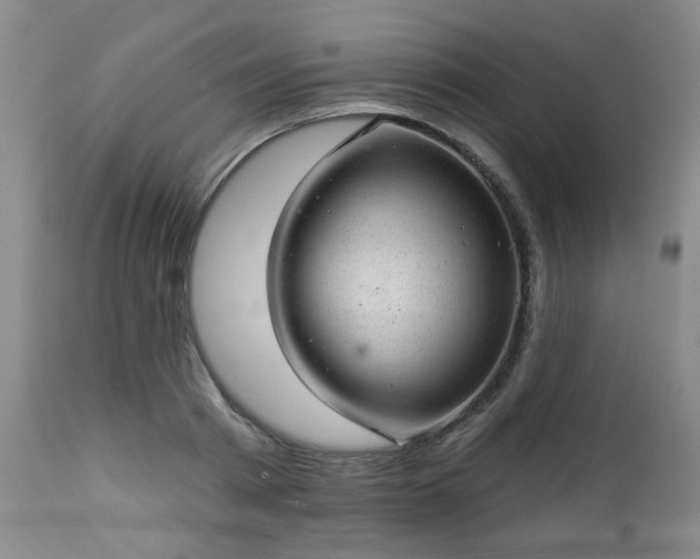 X0000112980793200909031108