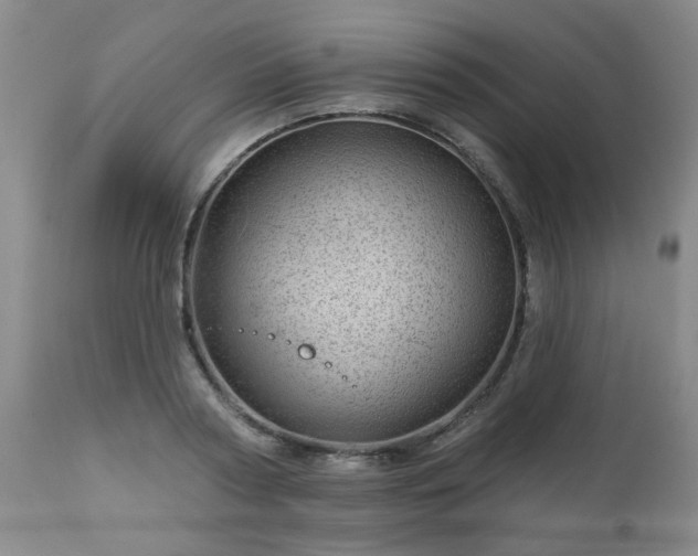 X0000112980794200909031108