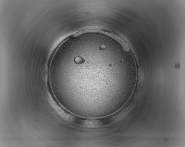 X0000112980795200909031108