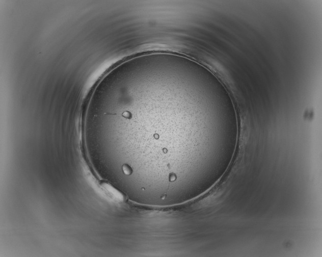 X0000112980796200909031108