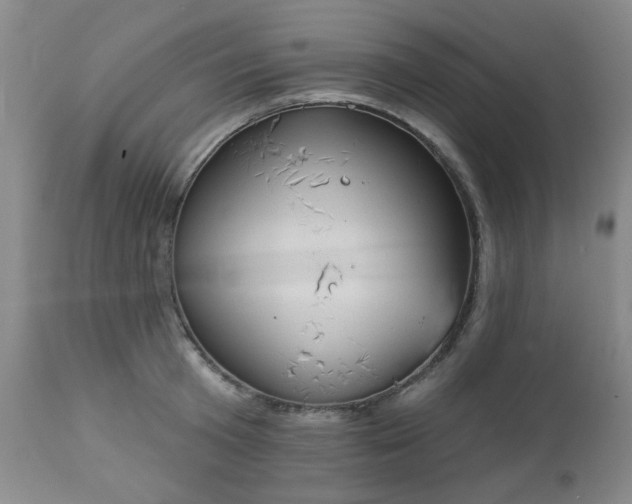 X0000112980801200909031108