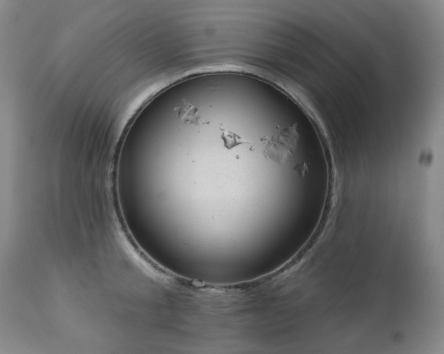 X0000112980805200909031108