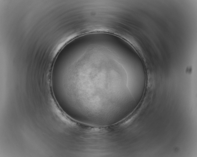 X0000112980806200909031108