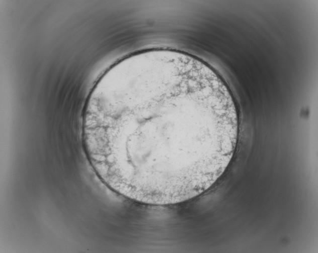 X0000112980807200909031108