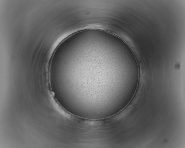 X0000112980808200909031108