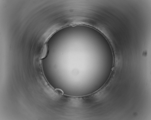 X0000112980809200909031108