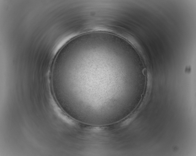 X0000112980814200909031107