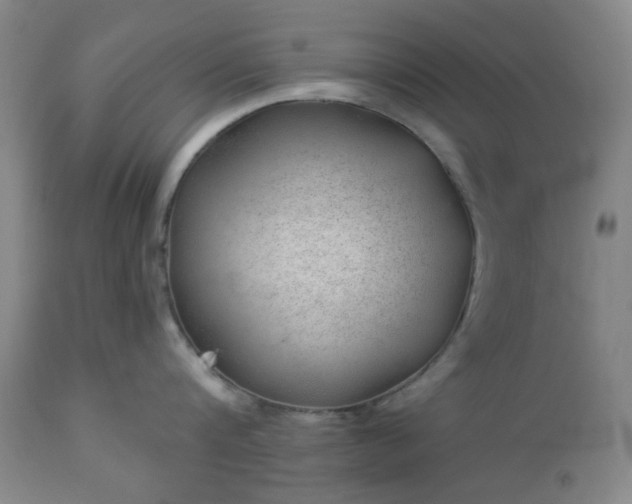 X0000112980816200909031107