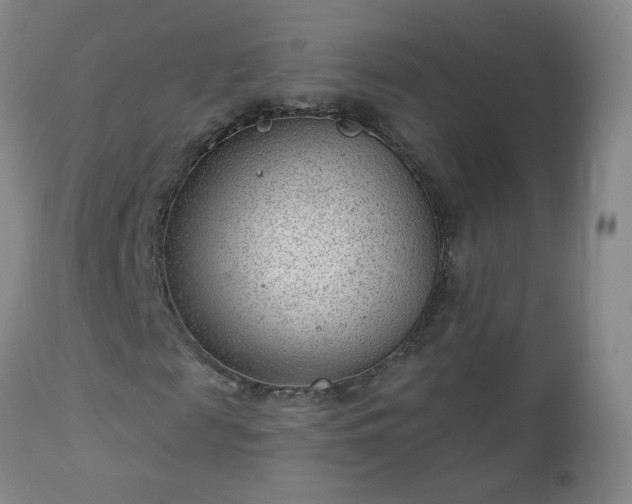 X0000112980817200909031106