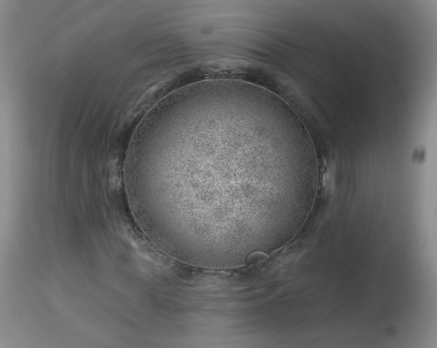 X0000112980819200909031106