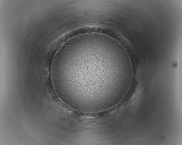 X0000112980821200909031106