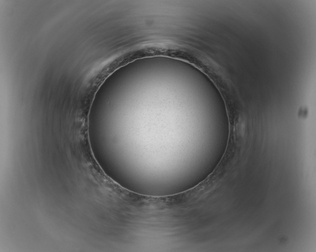 X0000112980822200909031107