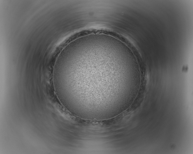 X0000112980823200909031107