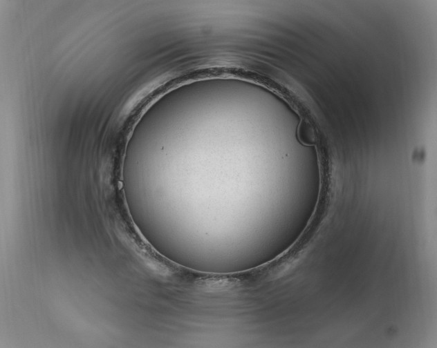 X0000112980826200909031107