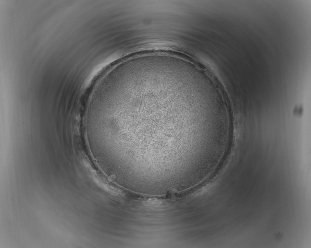 X0000112980827200909031107