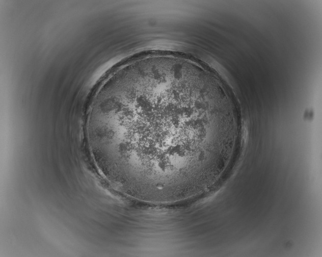 X0000112980829200909031107