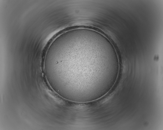 X0000112980830200909031107