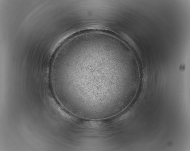 X0000112980831200909031107