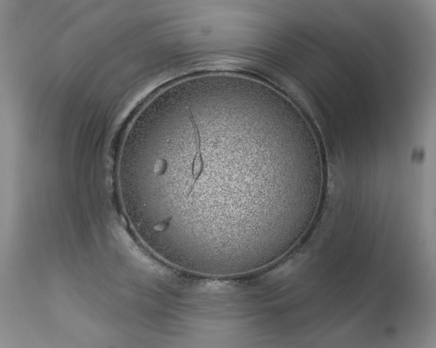 X0000112980835200909031107