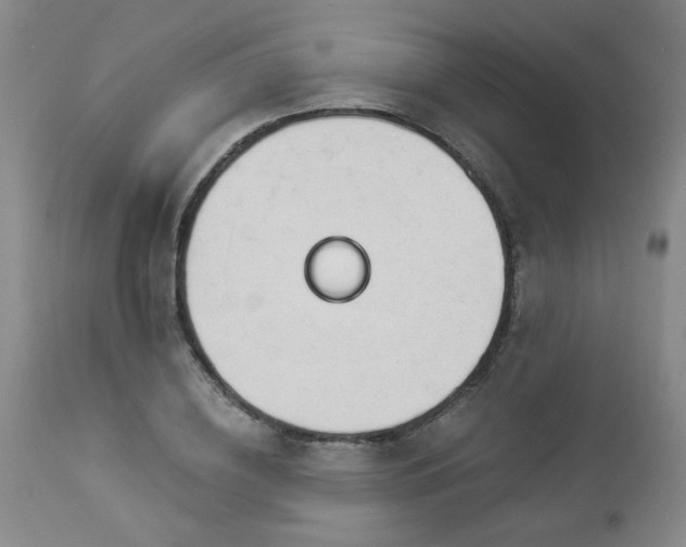 X0000112980836200909031107