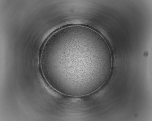 X0000112980837200909031107