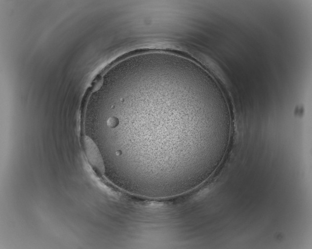 X0000112980839200909031107