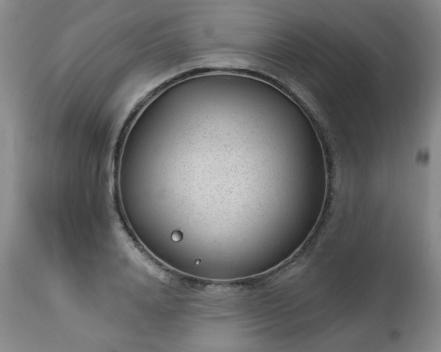 X0000112980840200909031107