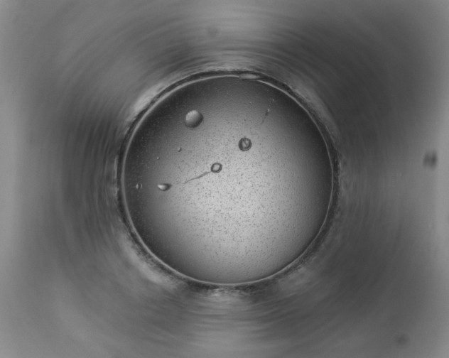 X0000112980842200909031107