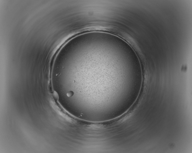 X0000112980844200909031107