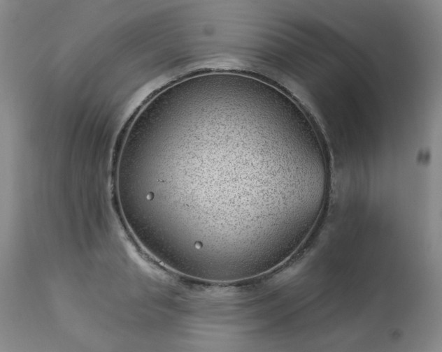 X0000112980845200909031107