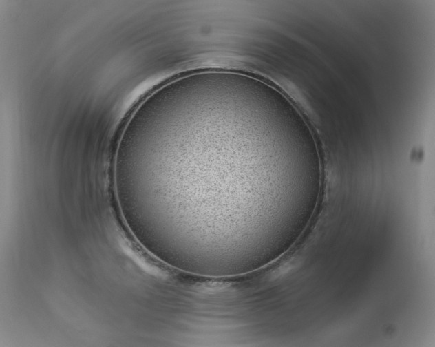 X0000112980846200909031107