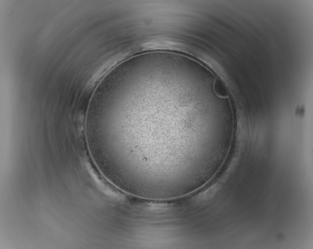 X0000112980849200909031107