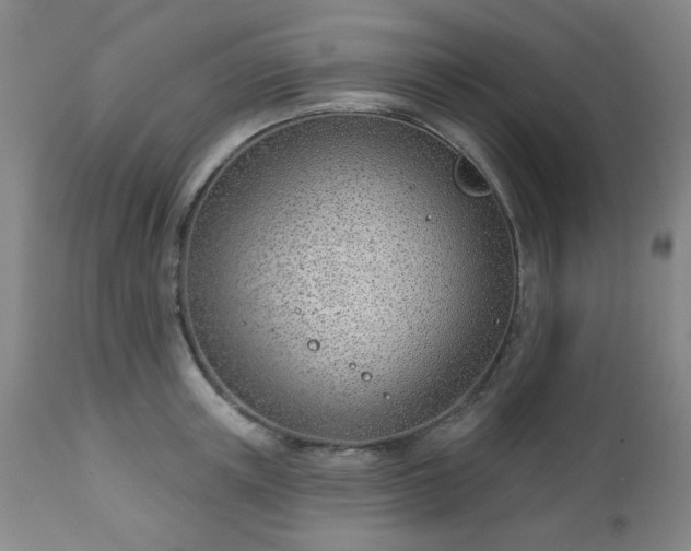 X0000112980851200909031107