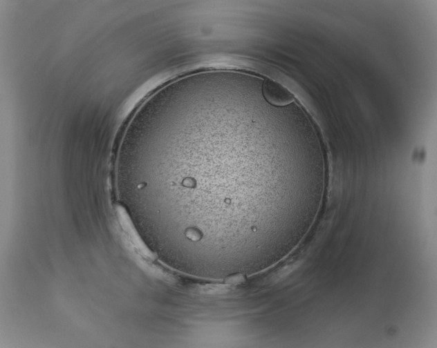 X0000112980853200909031107