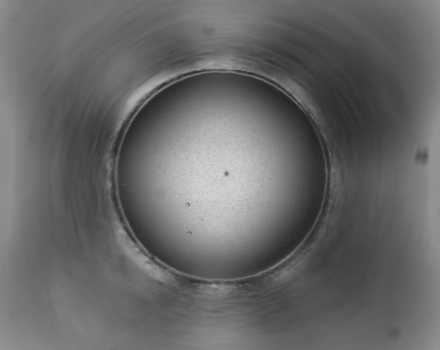 X0000112980854200909031107