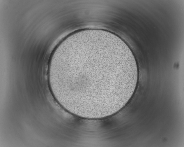 X0000112980856200909031107